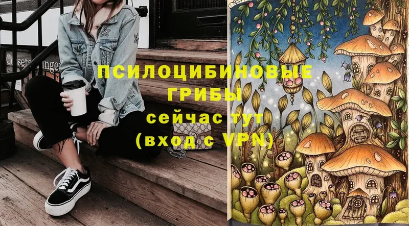 Псилоцибиновые грибы Cubensis  Алзамай 